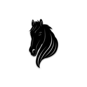 Horse Designed Acrylic wall decor